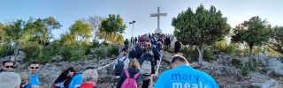 crowd ascending steps at pilgrimage