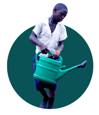 A young boy waters plants